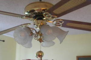 Electrical Ceiling Fan Replacement - Electrical