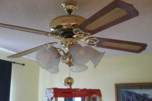 Electrical Ceiling Fan Replacement - Electrical