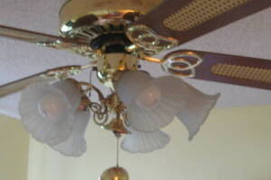 Electrical Ceiling Fan Replacement - Electrical