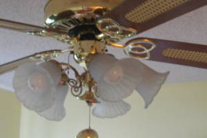 Electrical Ceiling Fan Replacement - Electrical