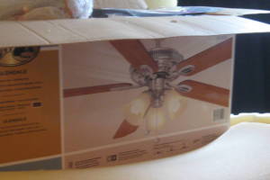 Electrical Ceiling Fan Replacement - Electrical