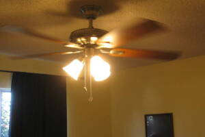 Electrical Ceiling Fan Replacement - Electrical