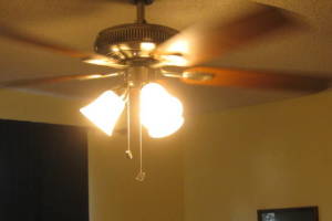 Electrical Ceiling Fan Replacement - Electrical