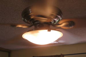 Electrical Ceiling Fan Replacement - Electrical