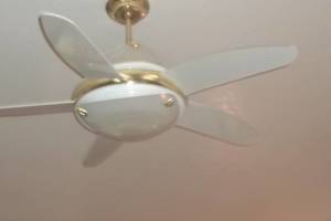 Electrical Ceiling Fan Replacements - Electrical