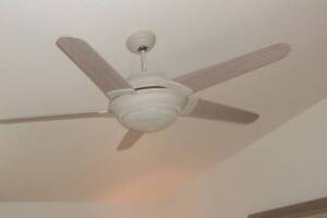 Electrical Ceiling Fan Replacements - Electrical