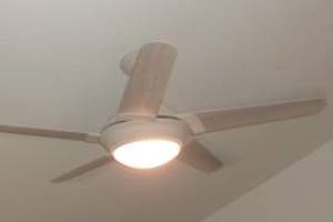 Electrical Ceiling Fan Replacements - Electrical