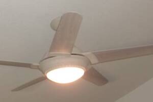 Electrical Ceiling Fan Replacements - Electrical