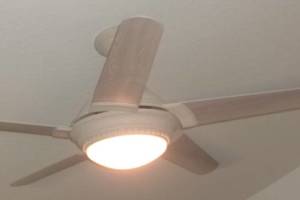 Electrical Ceiling Fan Replacements - Electrical