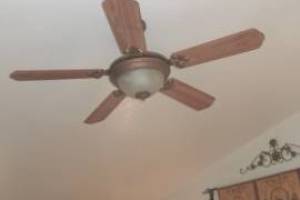 Electrical Ceiling Fan Replacements - Electrical