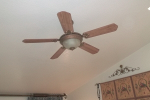 Electrical Ceiling Fan Replacements - Electrical