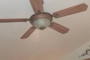 Electrical Ceiling Fan Replacements - Electrical