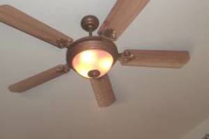 Electrical Ceiling Fan Replacements - Electrical
