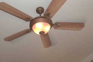 Electrical Ceiling Fan Replacements - Electrical