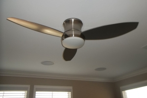 Electrical Ceiling Fan Switch - Electrical