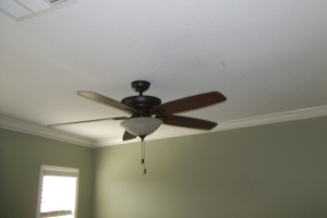 Electrical Ceiling Fan Switch - Electrical