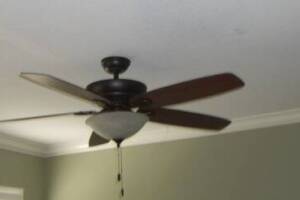 Electrical Ceiling Fan Switch - Electrical