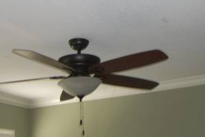 Electrical Ceiling Fan Switch - Electrical