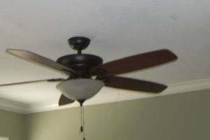 Electrical Ceiling Fan Switch - Electrical