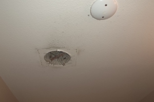 Electrical Bath Exhaust Replacement - Electrical