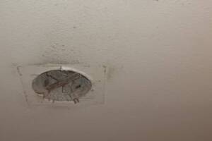 Electrical Bath Exhaust Replacement - Electrical
