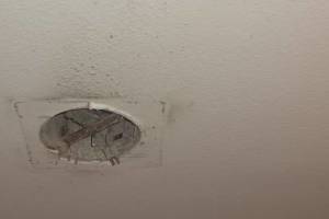 Electrical Bath Exhaust Replacement - Electrical