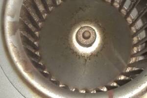 Electrical Kitchen Hood Motor Cleaning - Electrical