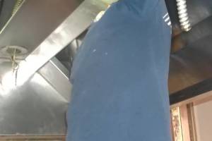 Electrical Kitchen Hood Motor Replacement - Electrical