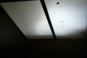 Electrical Lighting Acrylic Panel - Electrical