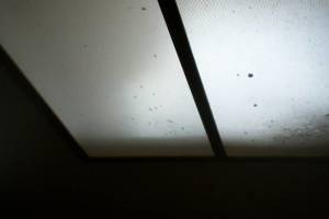 Electrical Lighting Acrylic Panel - Electrical