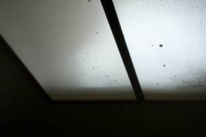 Electrical Lighting Acrylic Panel - Electrical