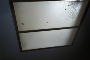 Electrical Lighting Acrylic Panel - Electrical