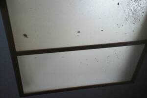 Electrical Lighting Acrylic Panel - Electrical