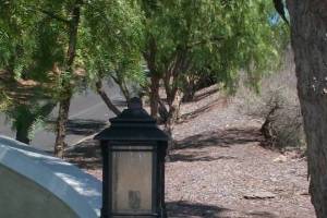 Electrical Lighting Bulb Replace - Electrical