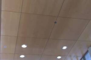 Electrical Lighting Bulb Replacement - Electrical