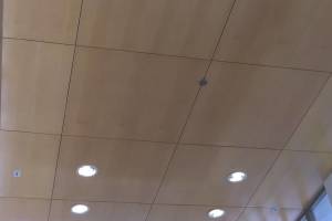 Electrical Lighting Bulb Replacement - Electrical