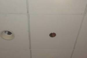 Electrical Lighting Bulb Replacement - Electrical