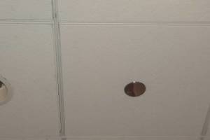 Electrical Lighting Bulb Replacement - Electrical