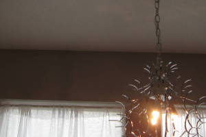 Electrical Lighting Fixture Install - Electrical