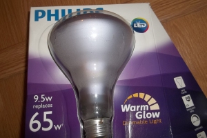Electrical Recessed Light Bulb Repair - Electrical