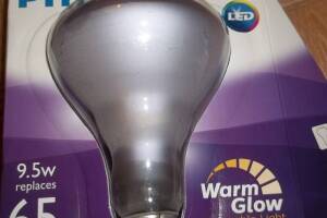 Electrical Recessed Light Bulb Repair - Electrical