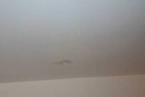 Electrical Recessed Light New Install - Electrical