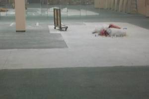 Hauling Business Retail Demo - Hauling