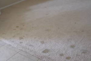 Hauling Home Carpet Removal - Hauling
