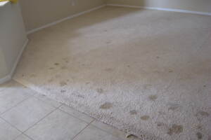Hauling Home Carpet Removal - Hauling