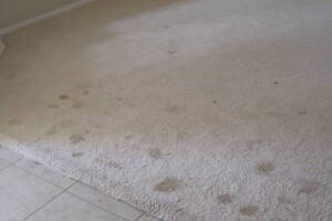 Hauling Home Carpet Removal - Hauling