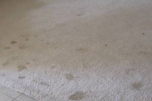 Hauling Home Carpet Removal - Hauling