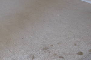 Hauling Home Carpet Removal - Hauling