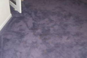 Hauling Home Carpet Removal - Hauling