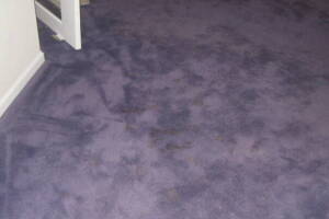 Hauling Home Carpet Removal - Hauling